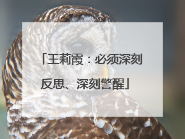 王莉霞：必须深刻反思、深刻警醒