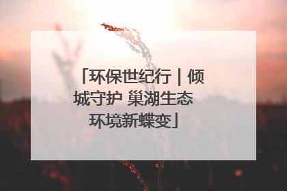 环保世纪行｜倾城守护 巢湖生态环境新蝶变