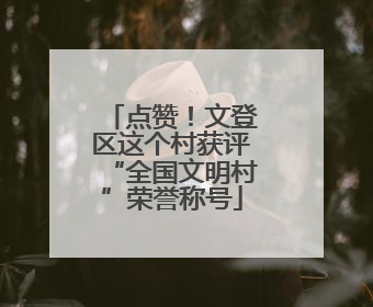 点赞！文登区这个村获评“全国文明村”荣誉称号