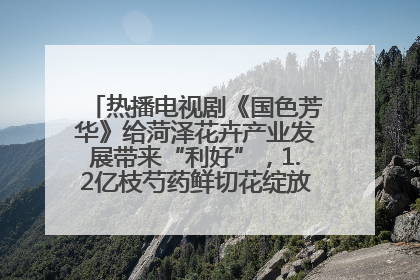 热播电视剧《国色芳华》给菏泽花卉产业发展带来“利好”，1.2亿枝芍药鲜切花绽放“国色芳华”