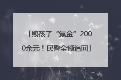 熊孩子“氪金”2000余元！民警全额追回