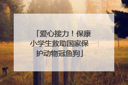 爱心接力！保康小学生救助国家保护动物冠鱼狗
