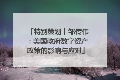 特别策划丨邹传伟：美国政府数字资产政策的影响与应对