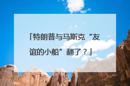 特朗普与马斯克“友谊的小船”翻了？