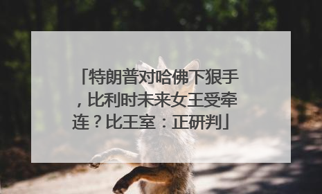 特朗普对哈佛下狠手，比利时未来女王受牵连？比王室：正研判