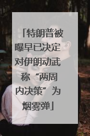 特朗普被曝早已决定对伊朗动武 称“两周内决策”为烟雾弹