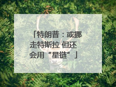 特朗普：或挪走特斯拉 但还会用“星链”