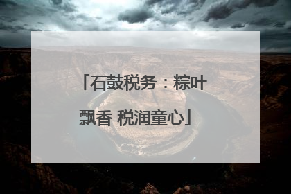 石鼓税务：粽叶飘香 税润童心
