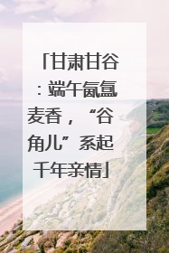 甘肃甘谷：端午氤氲麦香，“谷角儿”系起千年亲情