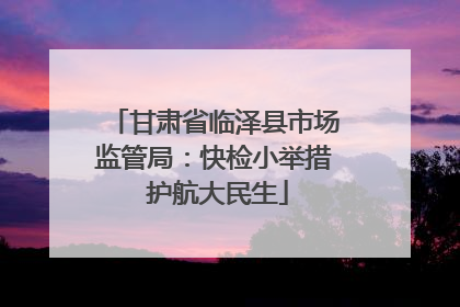 甘肃省临泽县市场监管局：快检小举措 护航大民生