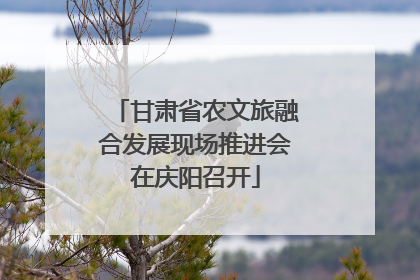甘肃省农文旅融合发展现场推进会在庆阳召开