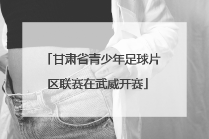 甘肃省青少年足球片区联赛在武威开赛