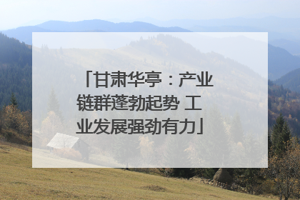 甘肃华亭：产业链群蓬勃起势 工业发展强劲有力