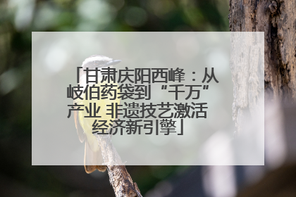 甘肃庆阳西峰：从岐伯药袋到“千万”产业 非遗技艺激活经济新引擎