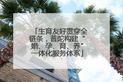 生育友好贯穿全链条，普陀构建“婚、孕、育、养”一体化服务体系