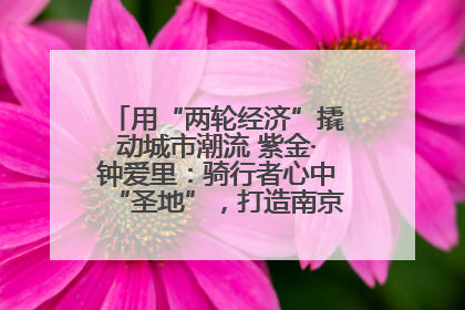 用“两轮经济”撬动城市潮流 紫金·钟爱里：骑行者心中“圣地”，打造南京的“阿那亚”