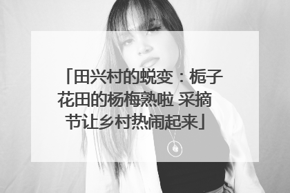 田兴村的蜕变：栀子花田的杨梅熟啦 采摘节让乡村热闹起来