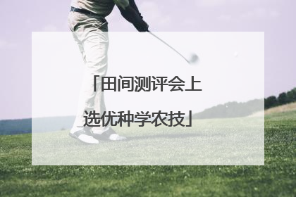 田间测评会上选优种学农技