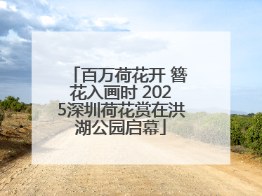 百万荷花开 簪花入画时 2025深圳荷花赏在洪湖公园启幕