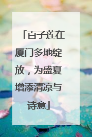 百子莲在厦门多地绽放，为盛夏增添清凉与诗意