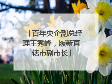 百年央企副总经理王秀峰，履新直辖市副市长