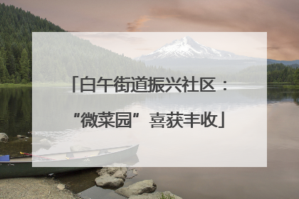 白午街道振兴社区：“微菜园”喜获丰收