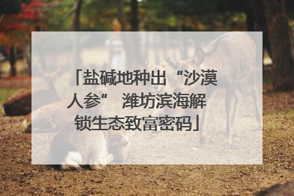 盐碱地种出“沙漠人参” 潍坊滨海解锁生态致富密码