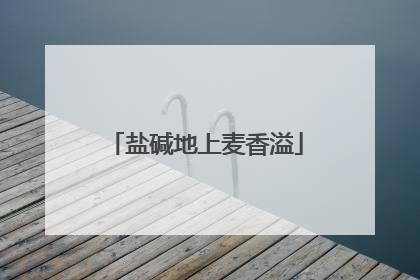 盐碱地上麦香溢