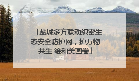 盐城多方联动织密生态安全防护网，护万物共生 绘和美画卷