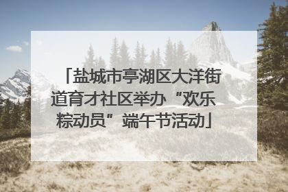 盐城市亭湖区大洋街道育才社区举办“欢乐粽动员”端午节活动