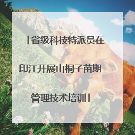 省级科技特派员在印江开展山桐子苗期管理技术培训