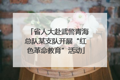 省人大赴武警青海总队某支队开展“红色革命教育”活动