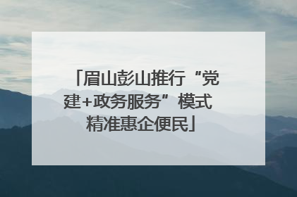 眉山彭山推行“党建+政务服务”模式 精准惠企便民