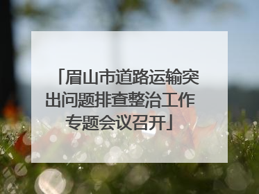 眉山市道路运输突出问题排查整治工作专题会议召开