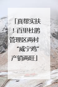 真帮实扶！百里杜鹃管理区两村“威宁鸡”产销两旺