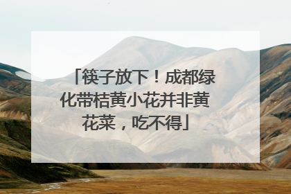 筷子放下！成都绿化带桔黄小花并非黄花菜，吃不得
