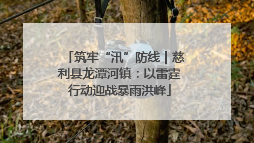 筑牢“汛”防线｜慈利县龙潭河镇：以雷霆行动迎战暴雨洪峰