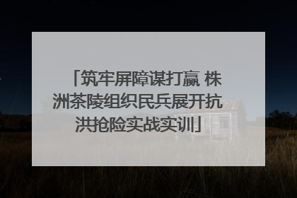 筑牢屏障谋打赢 株洲茶陵组织民兵展开抗洪抢险实战实训