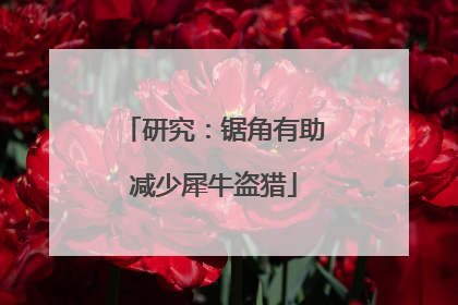 研究：锯角有助减少犀牛盗猎