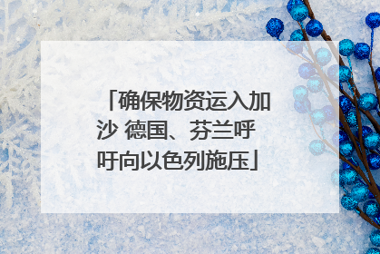 确保物资运入加沙 德国、芬兰呼吁向以色列施压