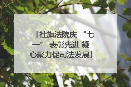 社旗法院庆 “七一” 表彰先进 凝心聚力促司法发展