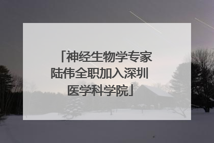 神经生物学专家陆伟全职加入深圳医学科学院