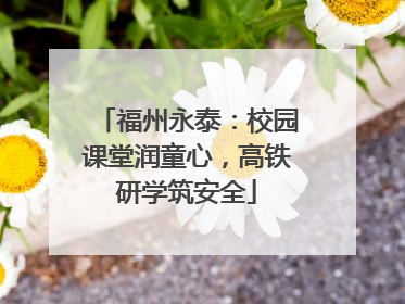 福州永泰：校园课堂润童心，高铁研学筑安全