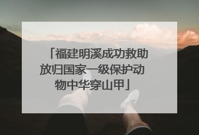 福建明溪成功救助放归国家一级保护动物中华穿山甲