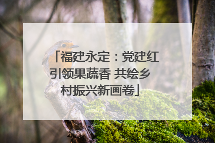 福建永定：党建红引领果蔬香 共绘乡村振兴新画卷