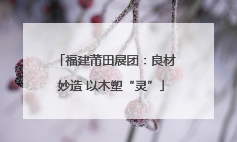 福建莆田展团：良材妙造 以木塑“灵”
