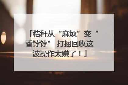 秸秆从“麻烦”变“香饽饽” 打捆回收这波操作太赚了！