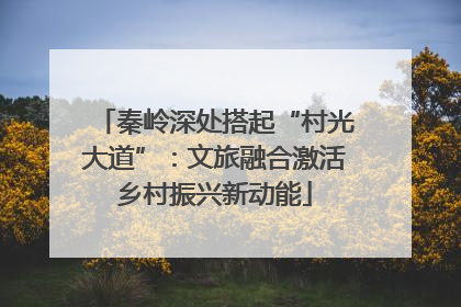 秦岭深处搭起“村光大道”：文旅融合激活乡村振兴新动能