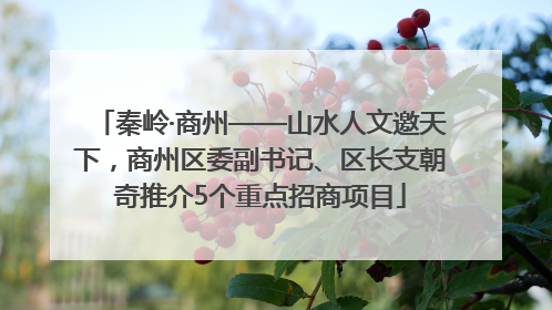 秦岭·商州——山水人文邀天下，商州区委副书记、区长支朝奇推介5个重点招商项目