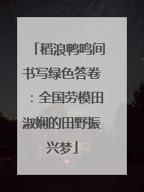 稻浪鸭鸣间书写绿色答卷：全国劳模田淑娴的田野振兴梦